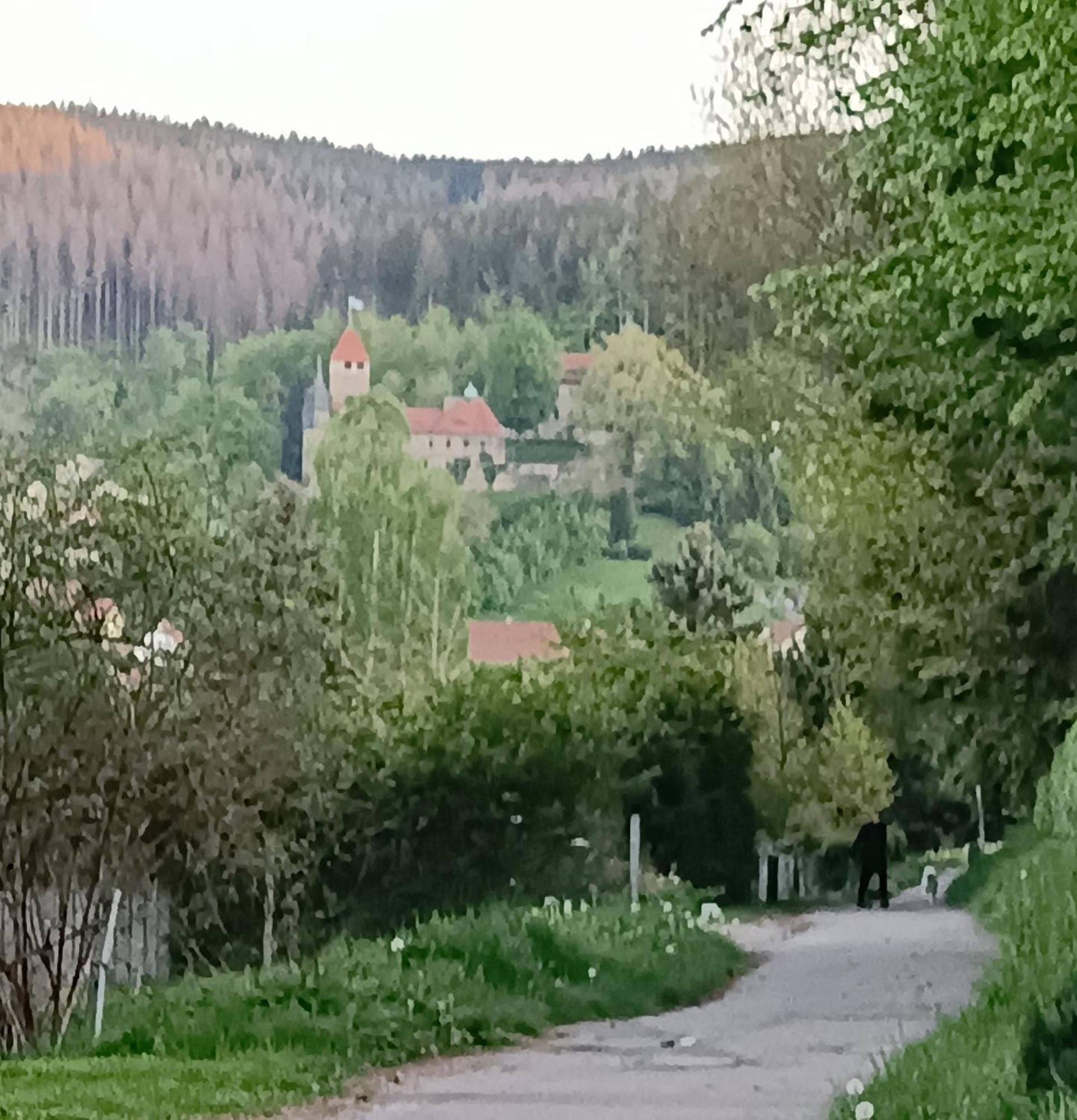 Ferienwohnung Hey Elgersburg Kültér fotó